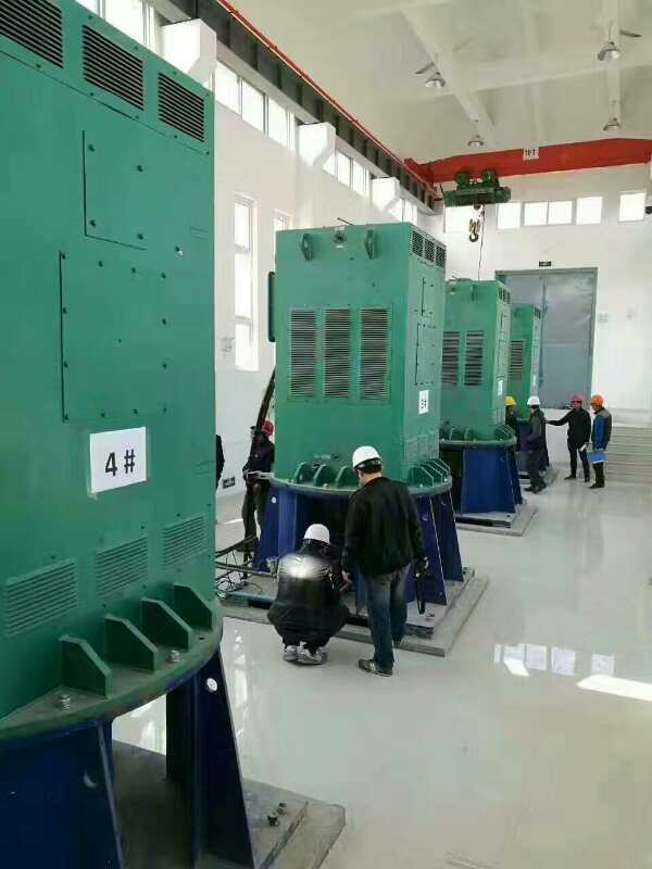 西安某污水处理厂使用我厂的立式高压电机安装现场质量好不好